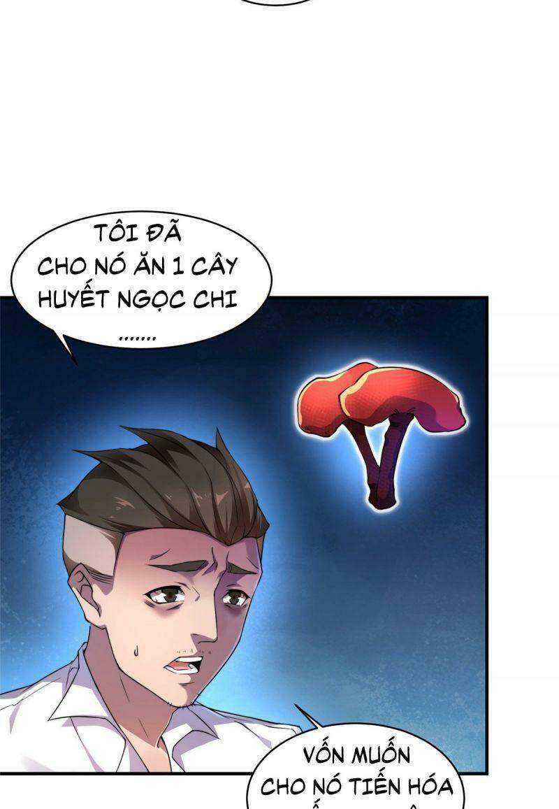 Thần Sủng Tiến Hóa Chapter 11 - Trang 2