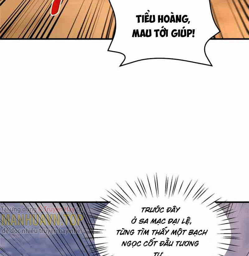 Thần Sủng Tiến Hóa Chapter 156 - Trang 2