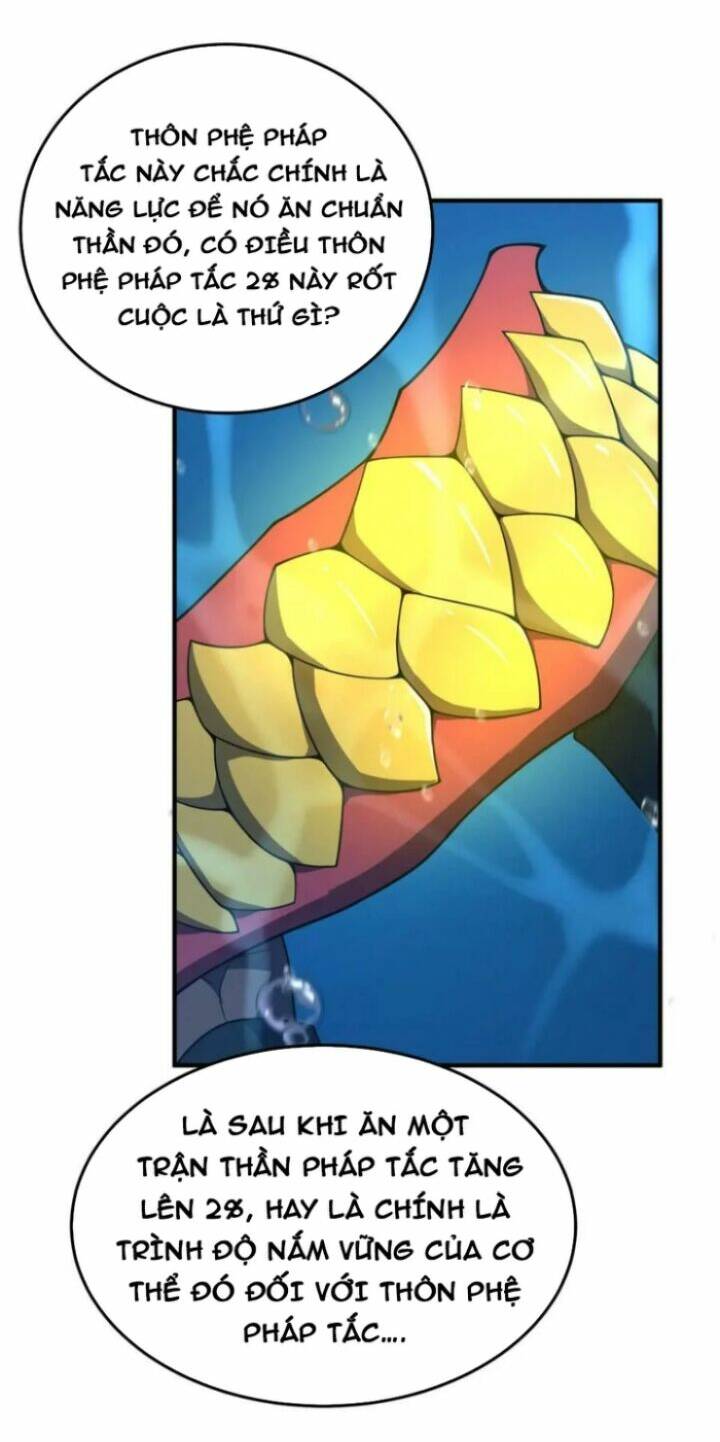 Thần Sủng Tiến Hóa Chapter 208 - Trang 2