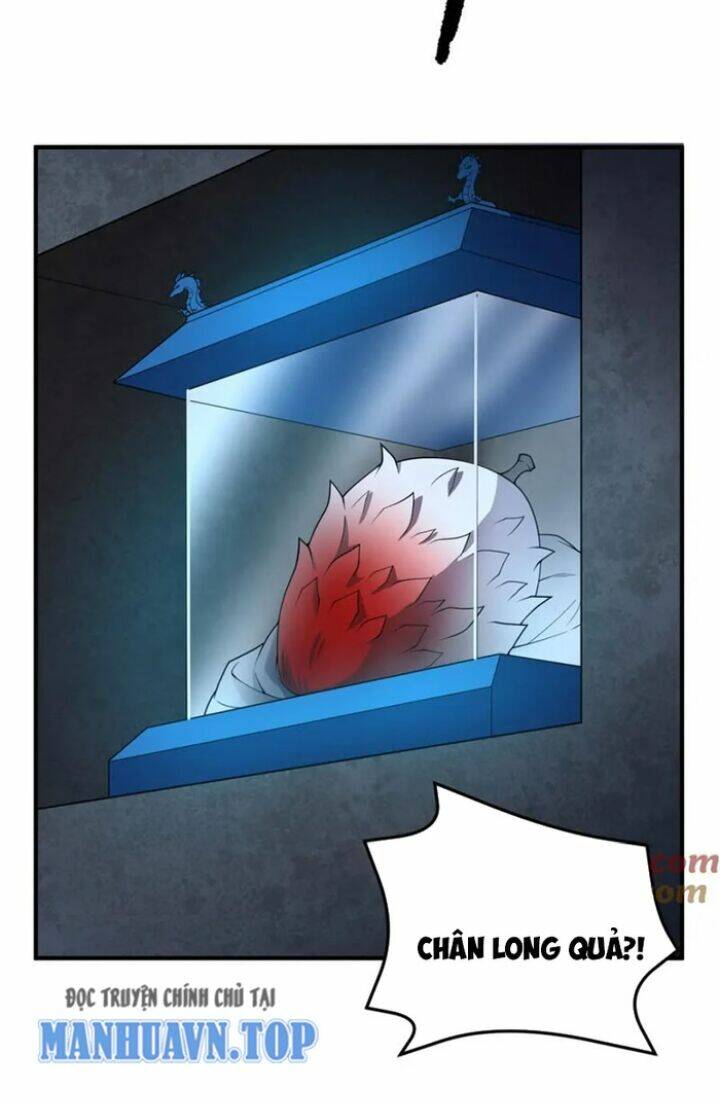 Thần Sủng Tiến Hóa Chapter 230 - Trang 2