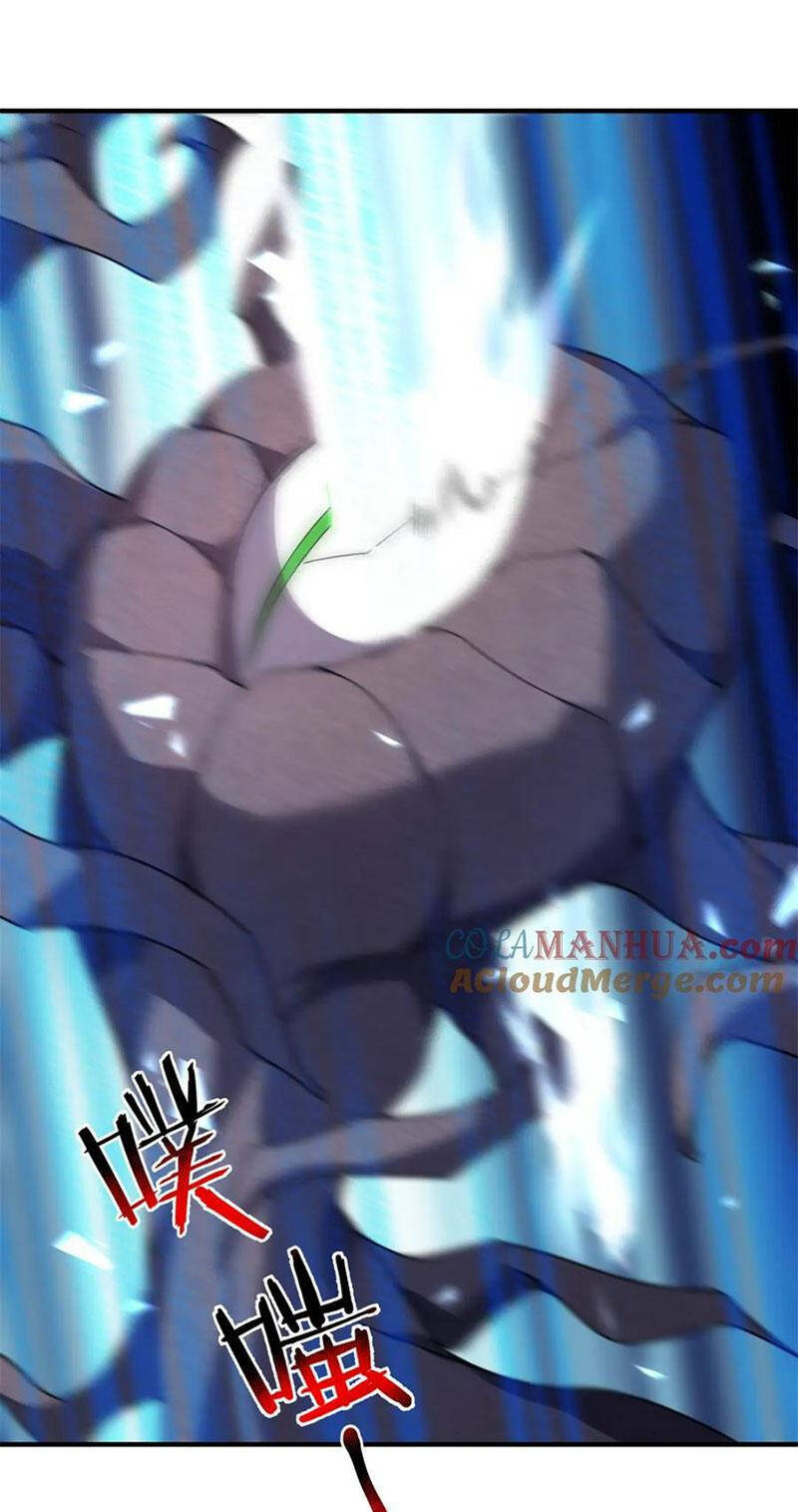 Thần Sủng Tiến Hóa Chapter 262 - Trang 2