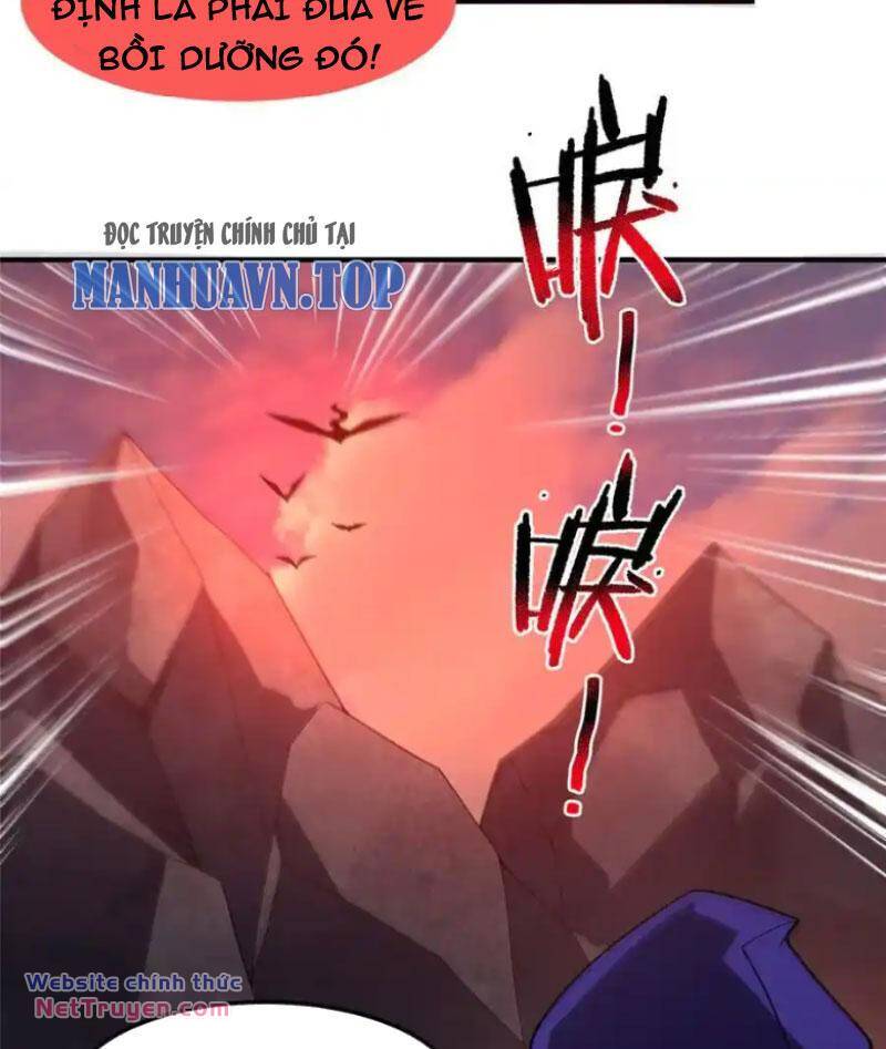 Thần Sủng Tiến Hóa Chapter 297 - Trang 2