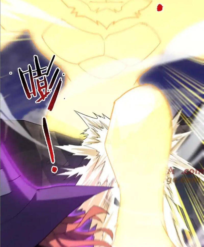 Thần Sủng Tiến Hóa Chapter 309 - Trang 2