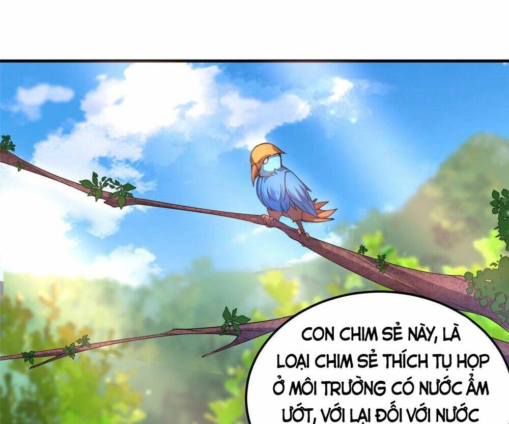 Thần Sủng Tiến Hóa Chapter 31 - Trang 2