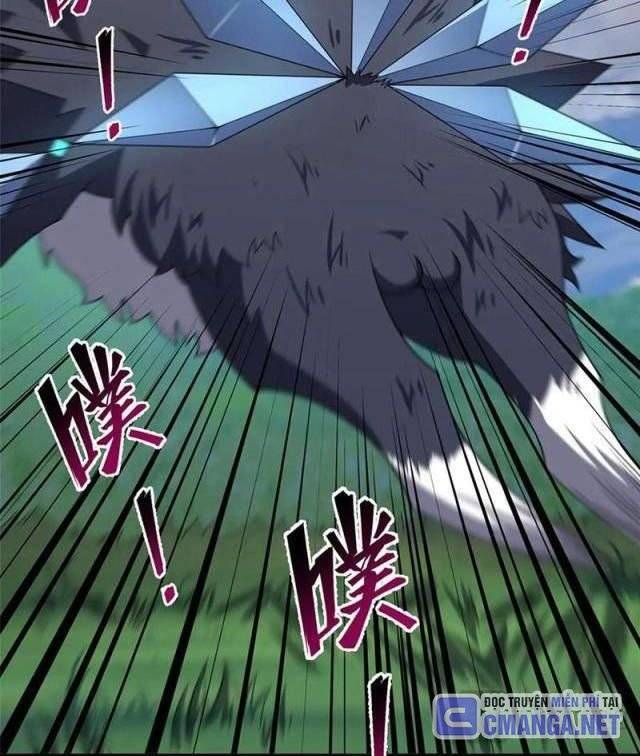 Thần Sủng Tiến Hóa Chapter 328 - Trang 2