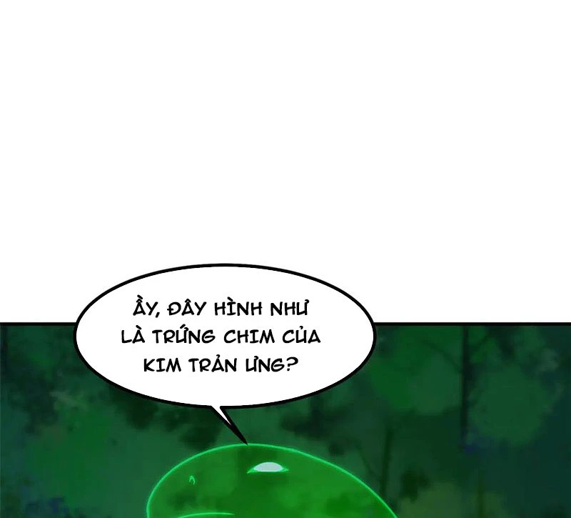 Thần Sủng Tiến Hóa Chapter 330 - Trang 2