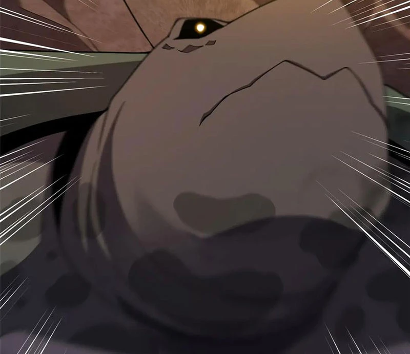 Thần Sủng Tiến Hóa Chapter 332 - Trang 2