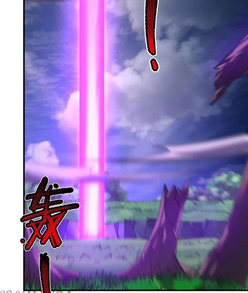 Thần Sủng Tiến Hóa Chapter 338 - Trang 2