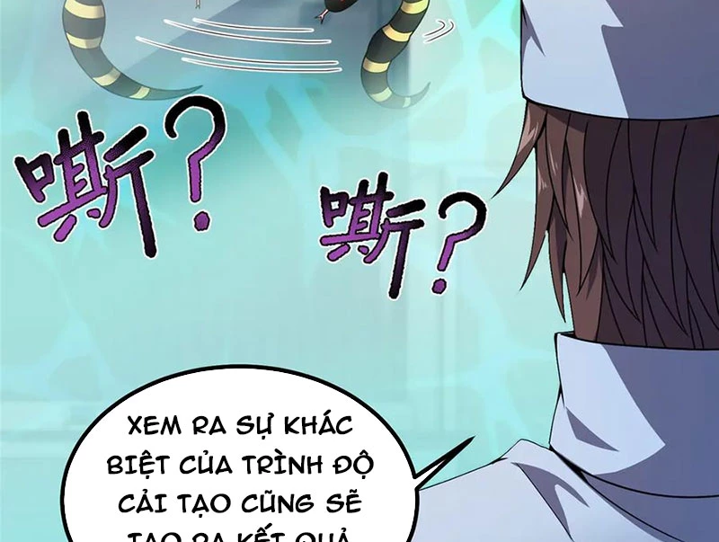 Thần Sủng Tiến Hóa Chapter 339 - Trang 2