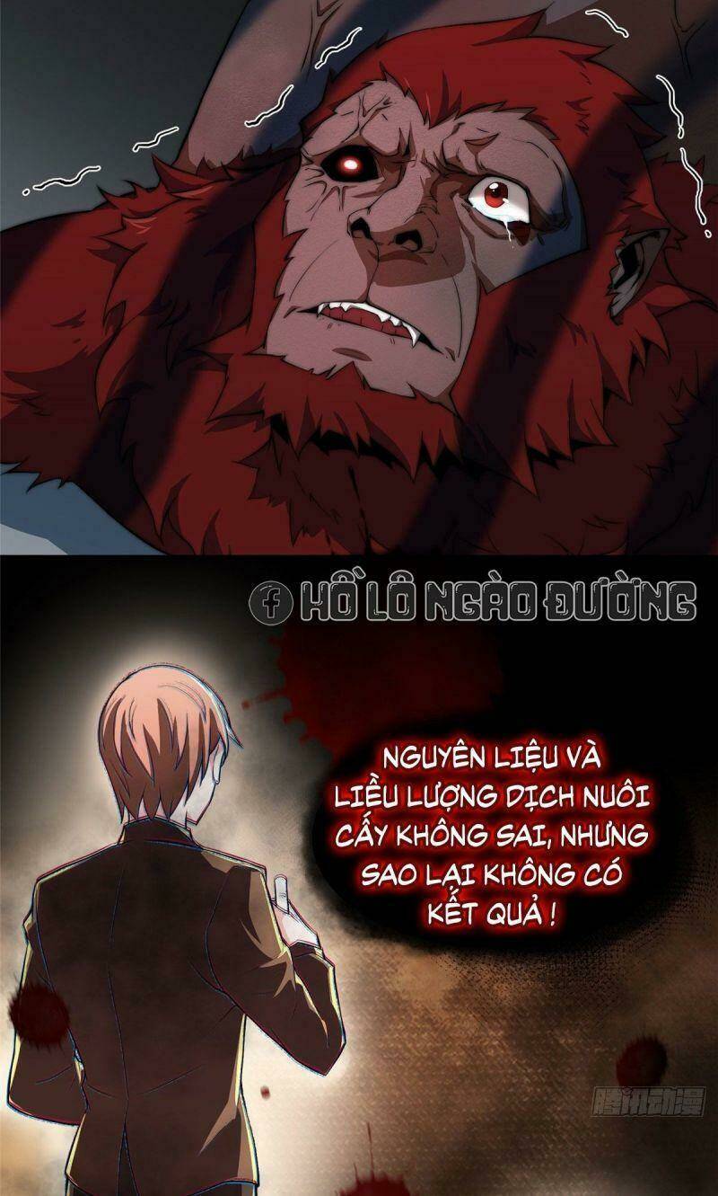 Thần Sủng Tiến Hóa Chapter 5 - Trang 2