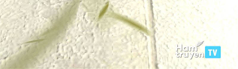 Thân Ta Là Kiếm Chủng Chapter 107 - Trang 2