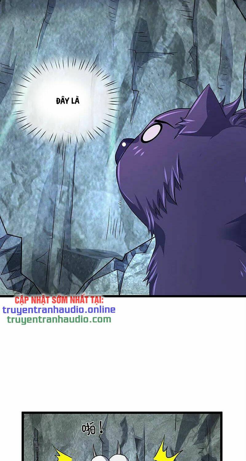 Thần Võ Thiên Tôn Chapter 368 - Trang 2