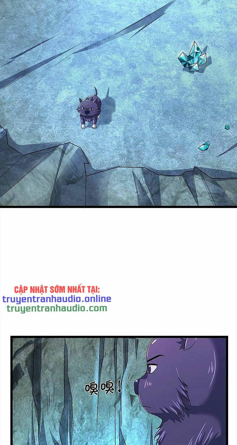 Thần Võ Thiên Tôn Chapter 368 - Trang 2