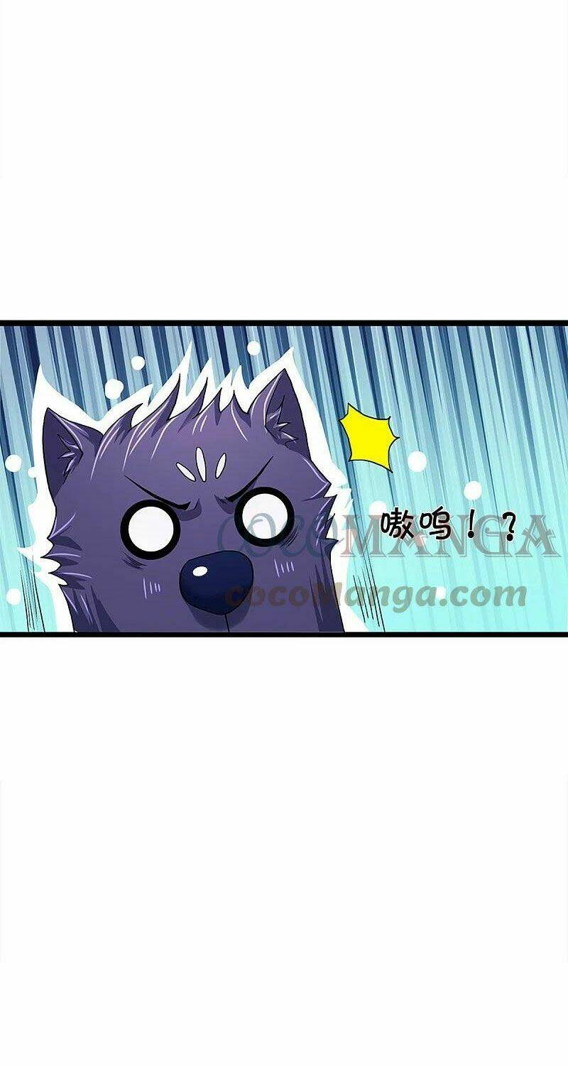 Thần Võ Thiên Tôn Chapter 368 - Trang 2