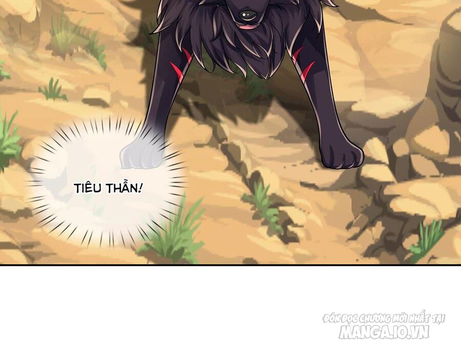 Thần Võ Thiên Tôn Chapter 592 - Trang 2