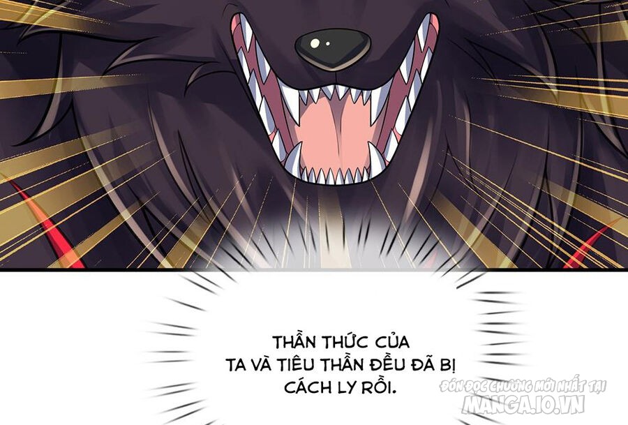 Thần Võ Thiên Tôn Chapter 592 - Trang 2