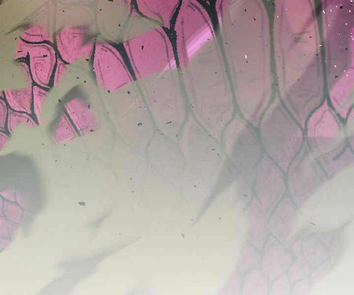 Thăng Cấp Cùng Thần Chapter 33 - Trang 2