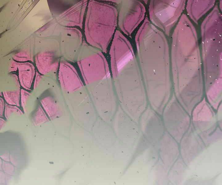 Thăng Cấp Cùng Thần Chapter 34 - Trang 2