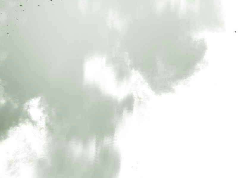 Thăng Cấp Cùng Thần Chapter 5 - Trang 2