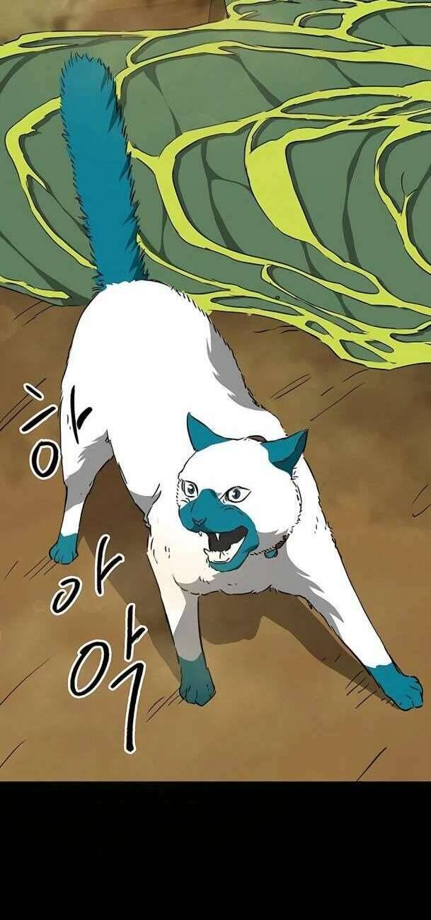 Thăng Cấp Vô Hạn Trong Murim Chapter 167 - Trang 2