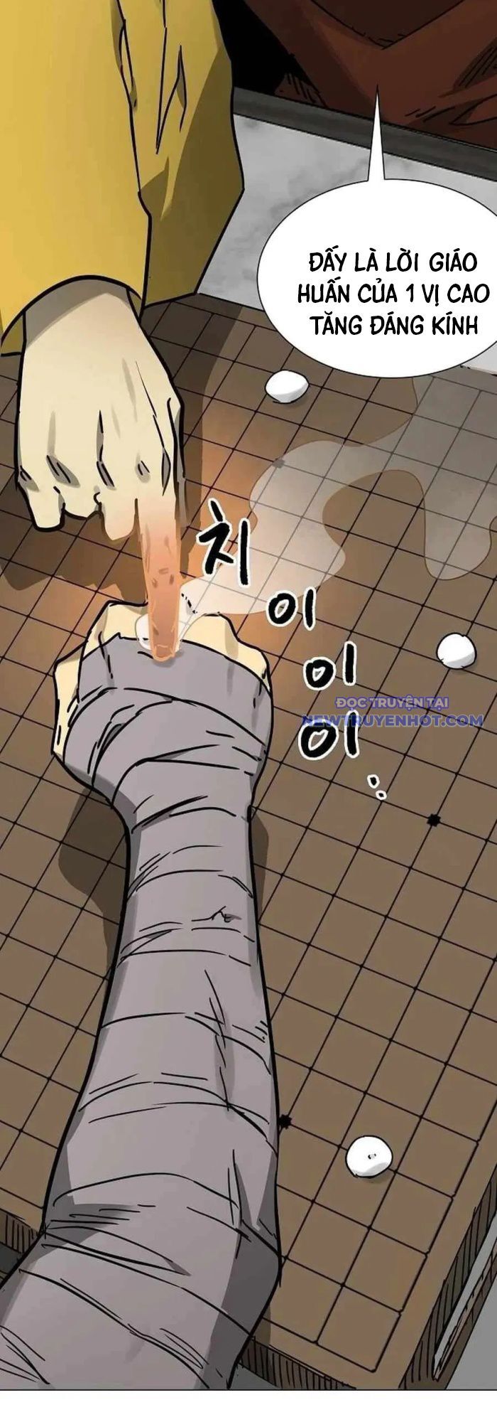 Thăng Cấp Vô Hạn Trong Murim Chapter 219 - Trang 2