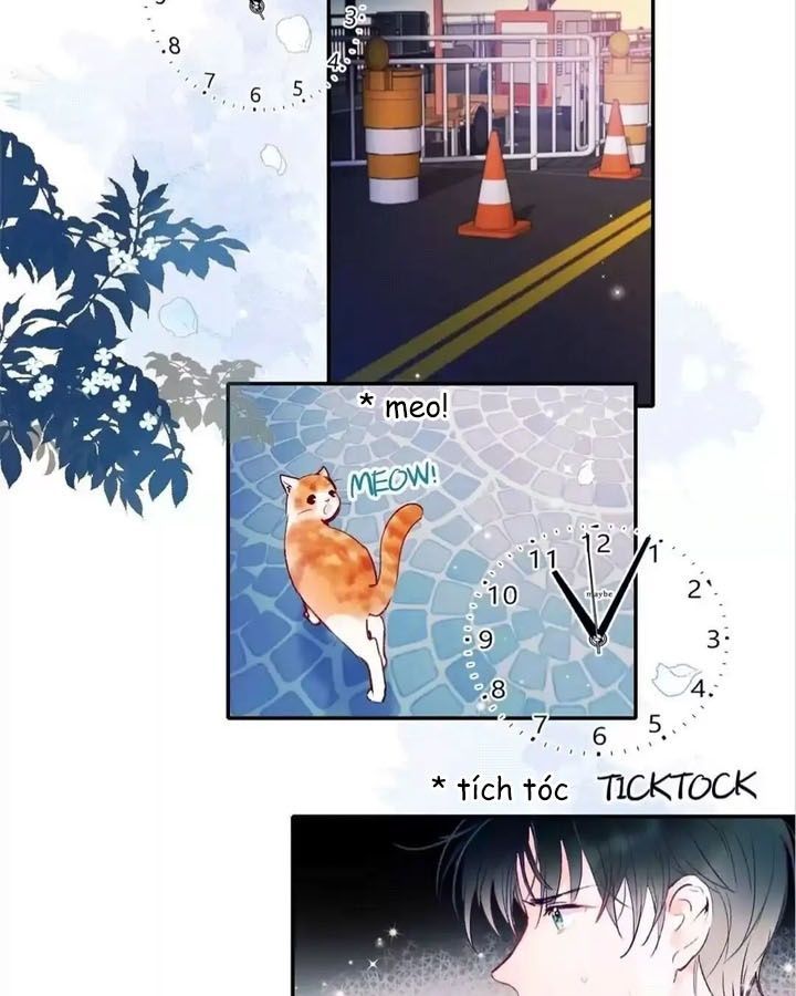 Thành Dã Tiêu Hà Chapter 67 - Trang 2