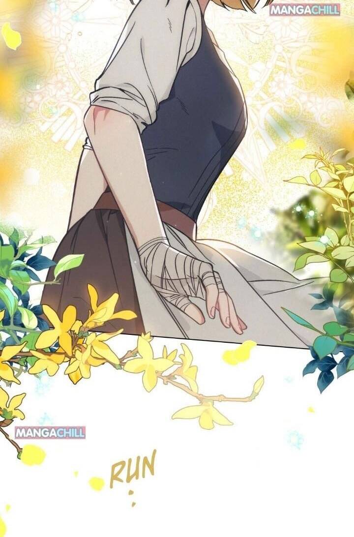 Thanh Gươm Của Evangeline Chapter 12.2 - Trang 2