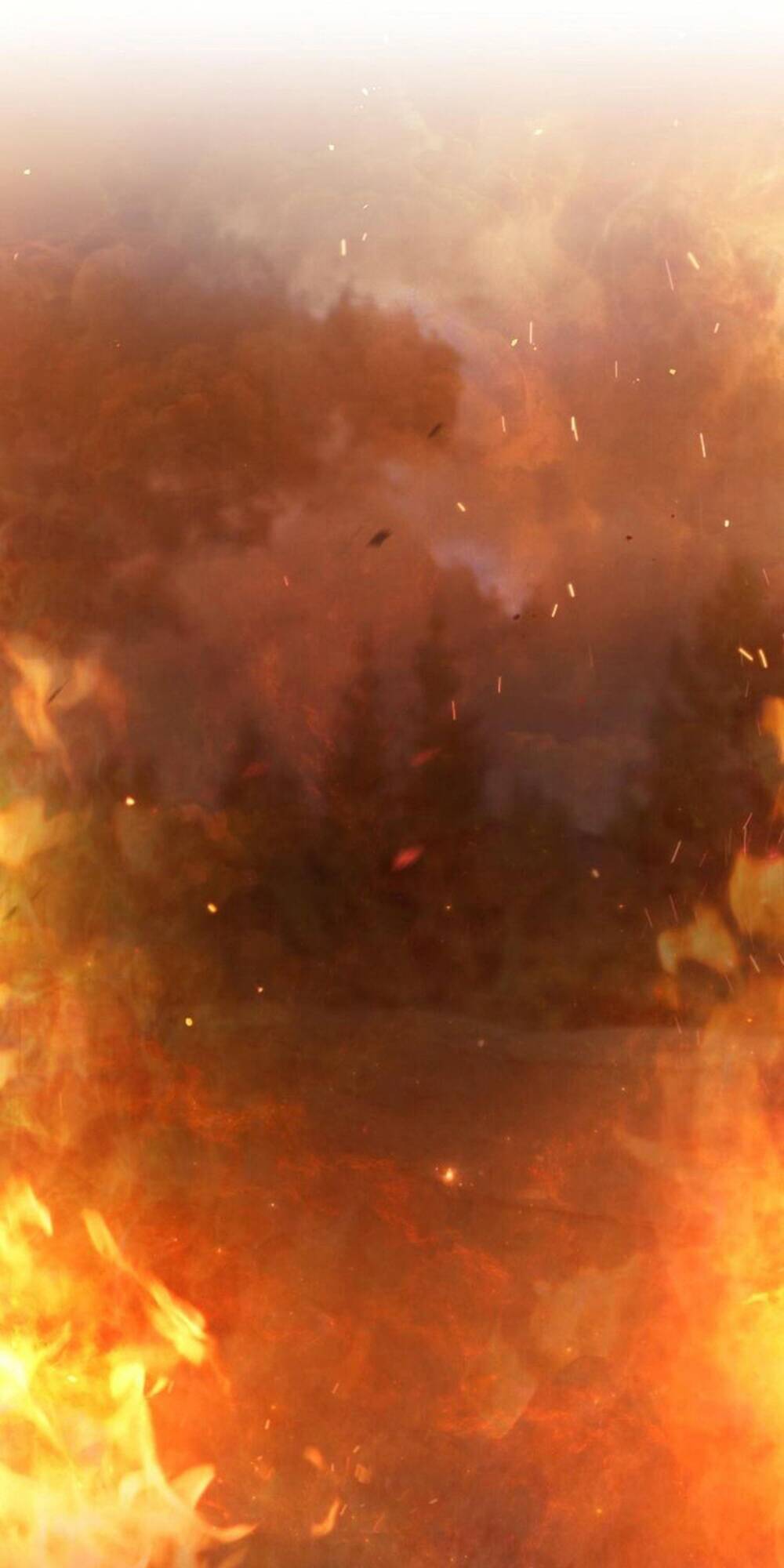 Thanh Gươm Của Evangeline Chapter 7.1 - Trang 2