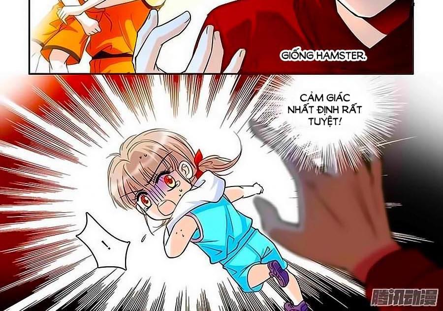 Thanh Ninh Chi Hạ Chapter 27 - Trang 2