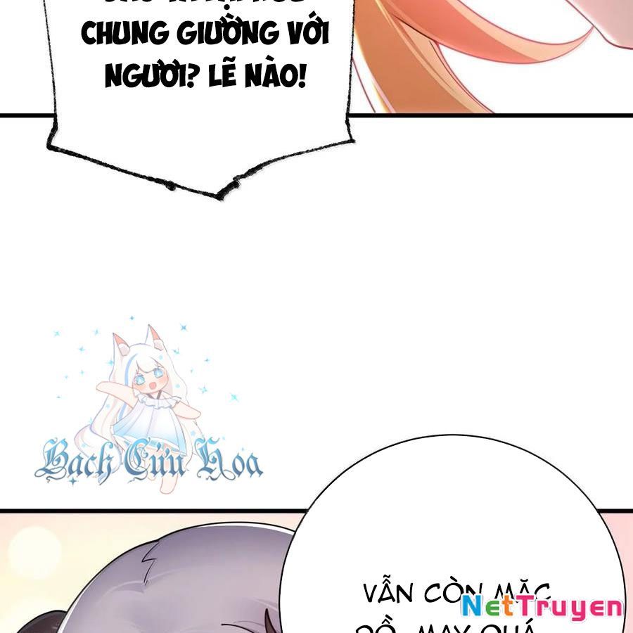 Thánh Nữ, Xin Hãy Dừng Ngay Những Trò Quái Đản Của Cô Đi!! Chapter 102 - Trang 2