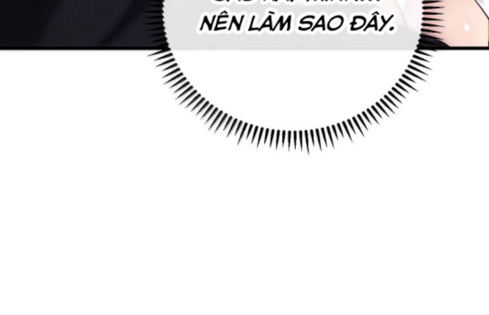 Thánh Nữ, Xin Hãy Dừng Ngay Những Trò Quái Đản Của Cô Đi!! Chapter 105 - Trang 2