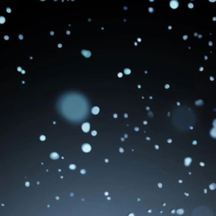 Thánh Nữ, Xin Hãy Dừng Ngay Những Trò Quái Đản Của Cô Đi!! Chapter 107 - Trang 2