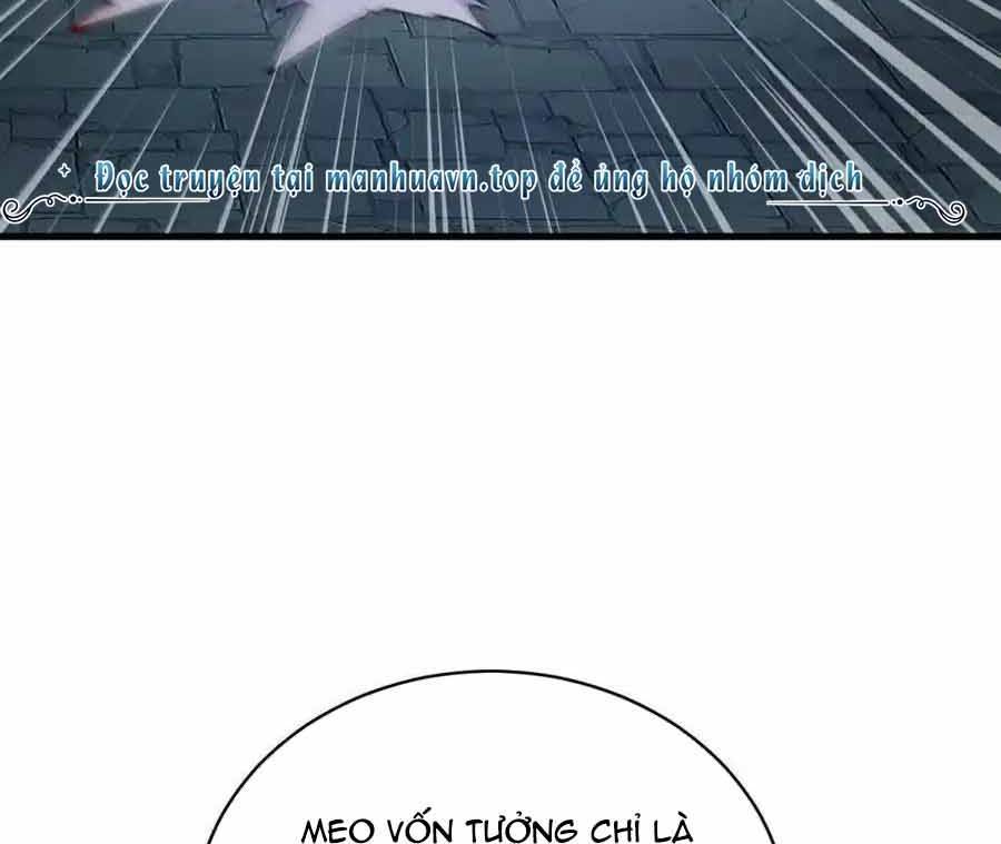 Thánh Nữ, Xin Hãy Dừng Ngay Những Trò Quái Đản Của Cô Đi!! Chapter 110 - Trang 2