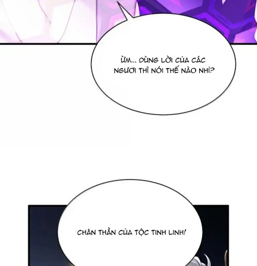 Thánh Nữ, Xin Hãy Dừng Ngay Những Trò Quái Đản Của Cô Đi!! Chapter 112 - Trang 2