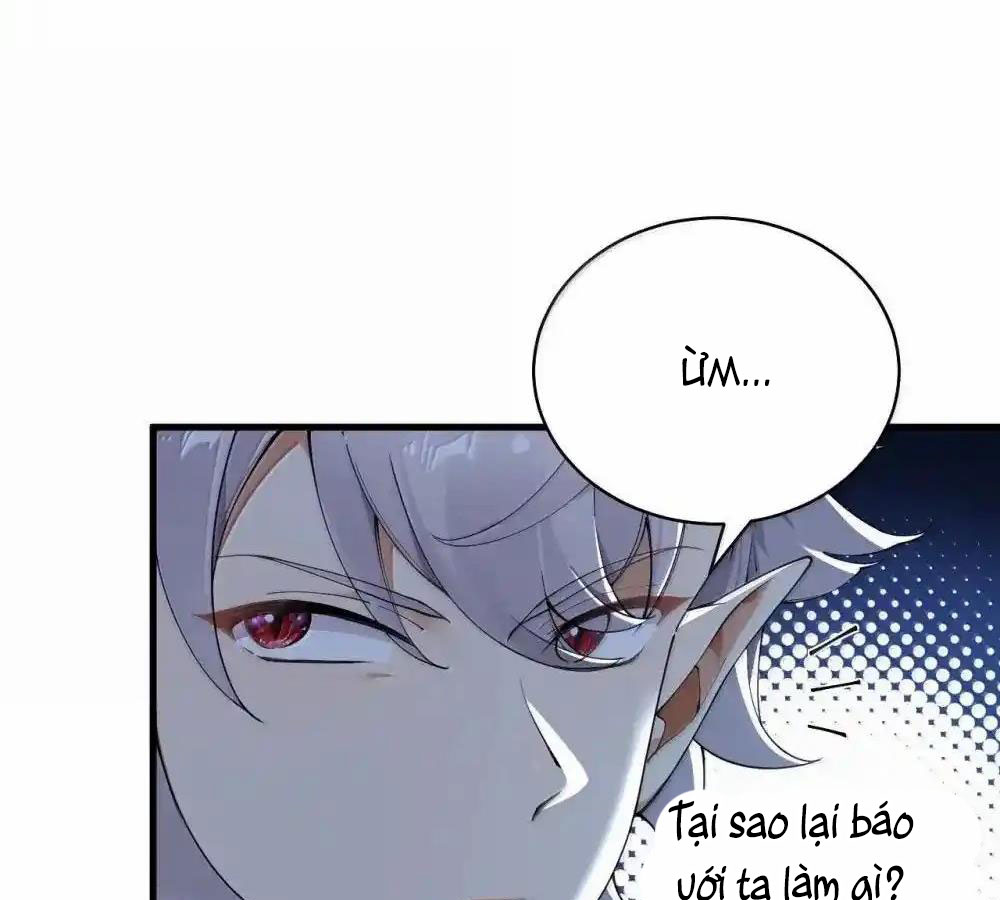 Thánh Nữ, Xin Hãy Dừng Ngay Những Trò Quái Đản Của Cô Đi!! Chapter 114 - Trang 2