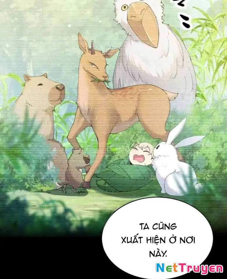 Thánh Nữ, Xin Hãy Dừng Ngay Những Trò Quái Đản Của Cô Đi!! Chapter 123 - Trang 2