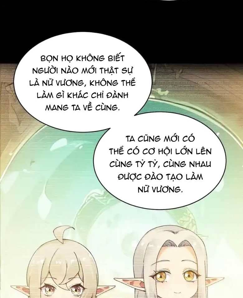 Thánh Nữ, Xin Hãy Dừng Ngay Những Trò Quái Đản Của Cô Đi!! Chapter 123 - Trang 2