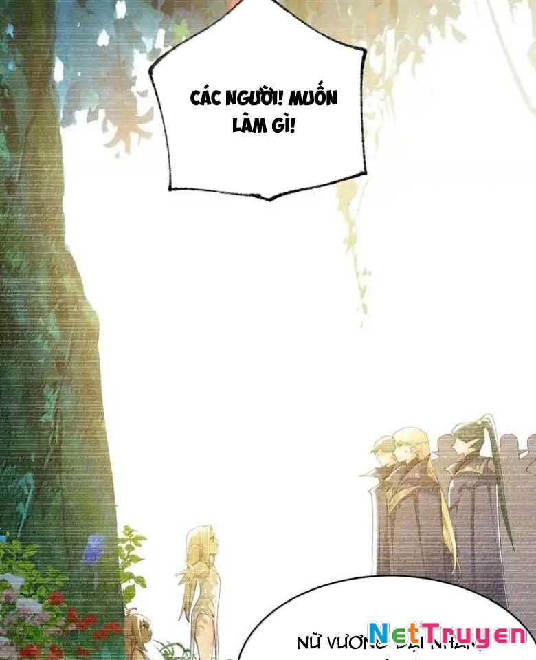 Thánh Nữ, Xin Hãy Dừng Ngay Những Trò Quái Đản Của Cô Đi!! Chapter 123 - Trang 2