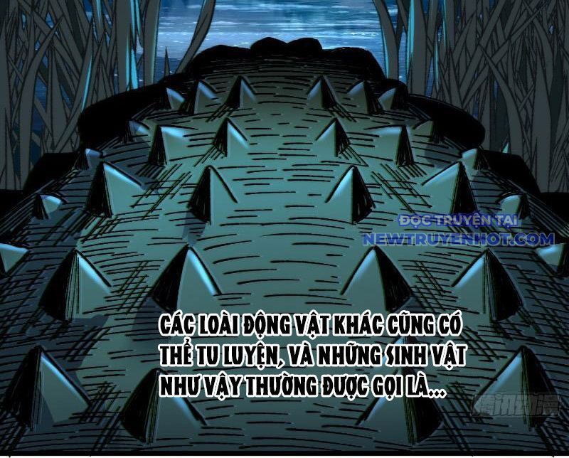 Thành Thần Bắt Đầu Từ Thủy Hầu Tử Chapter 1 - Trang 2