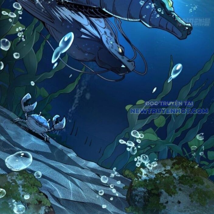 Thành Thần Bắt Đầu Từ Thủy Hầu Tử Chapter 12 - Trang 2