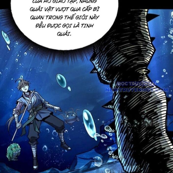 Thành Thần Bắt Đầu Từ Thủy Hầu Tử Chapter 12 - Trang 2