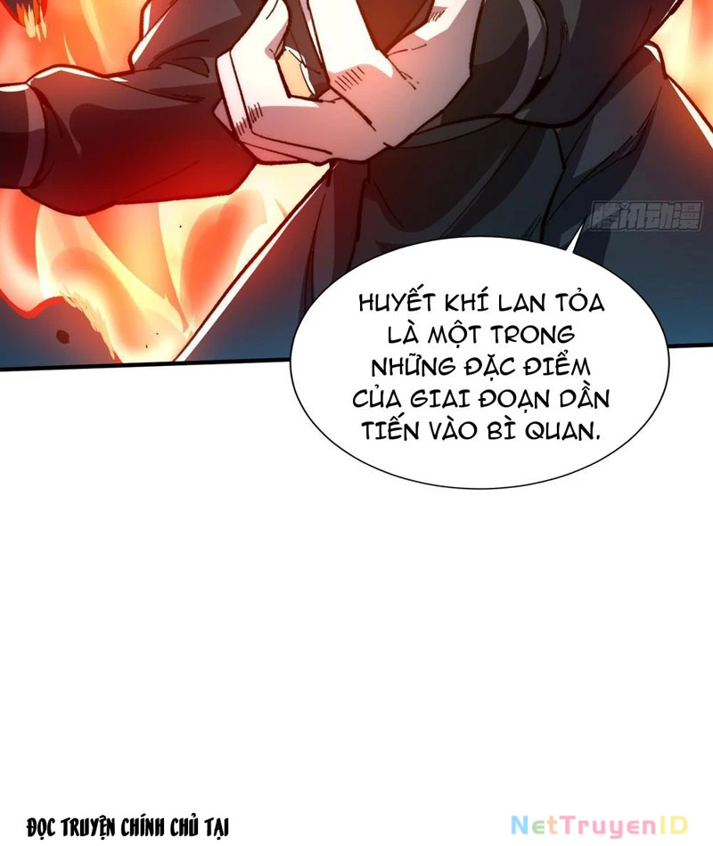 Thành Thần Bắt Đầu Từ Thủy Hầu Tử Chapter 15 - Trang 2