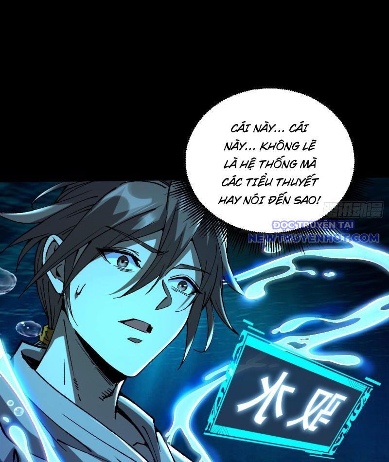 Thành Thần Bắt Đầu Từ Thủy Hầu Tử Chapter 2 - Trang 2