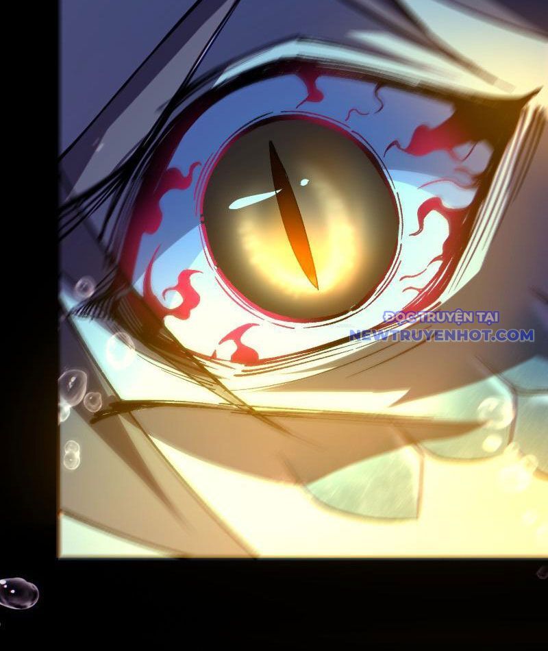 Thành Thần Bắt Đầu Từ Thủy Hầu Tử Chapter 2 - Trang 2