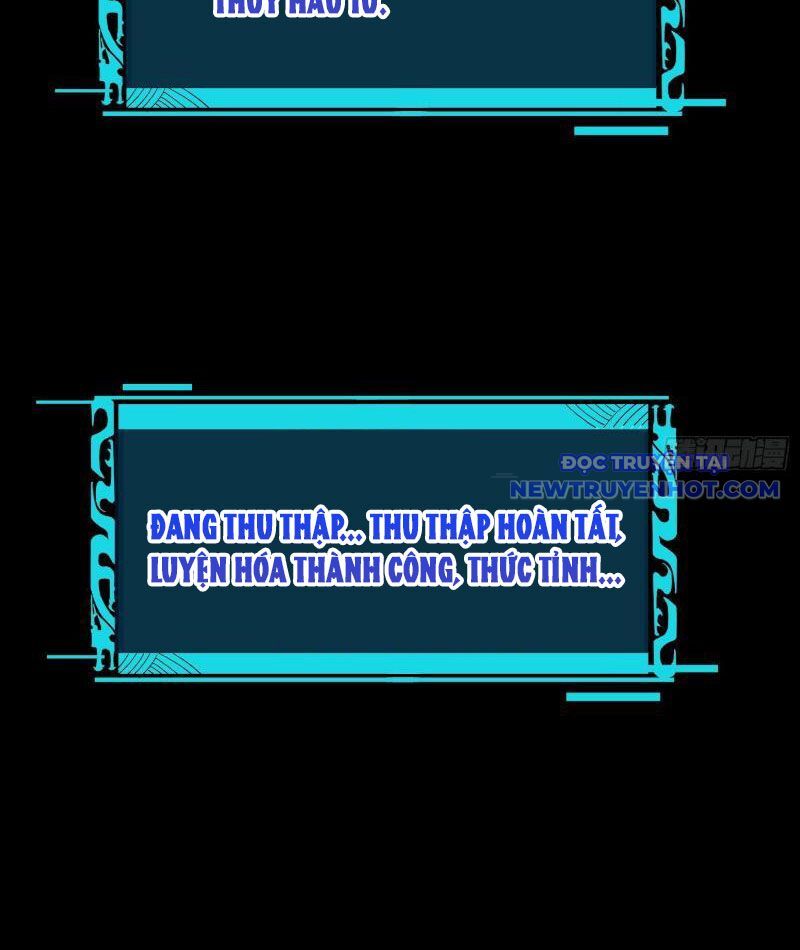 Thành Thần Bắt Đầu Từ Thủy Hầu Tử Chapter 2 - Trang 2