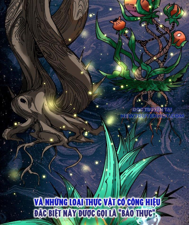 Thành Thần Bắt Đầu Từ Thủy Hầu Tử Chapter 4 - Trang 2