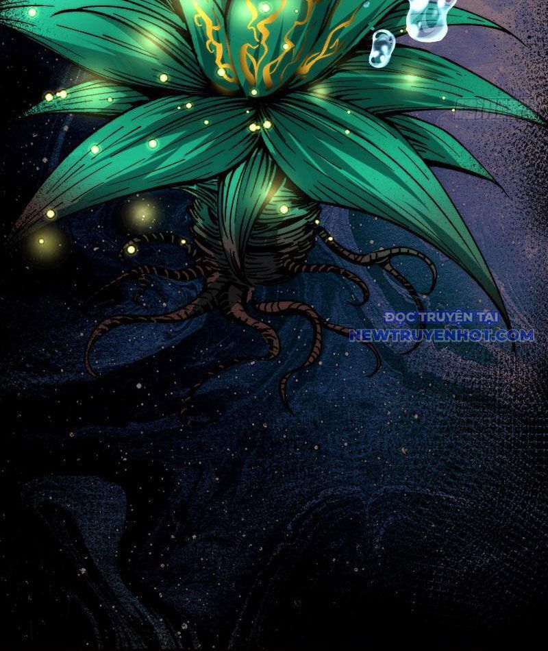 Thành Thần Bắt Đầu Từ Thủy Hầu Tử Chapter 4 - Trang 2