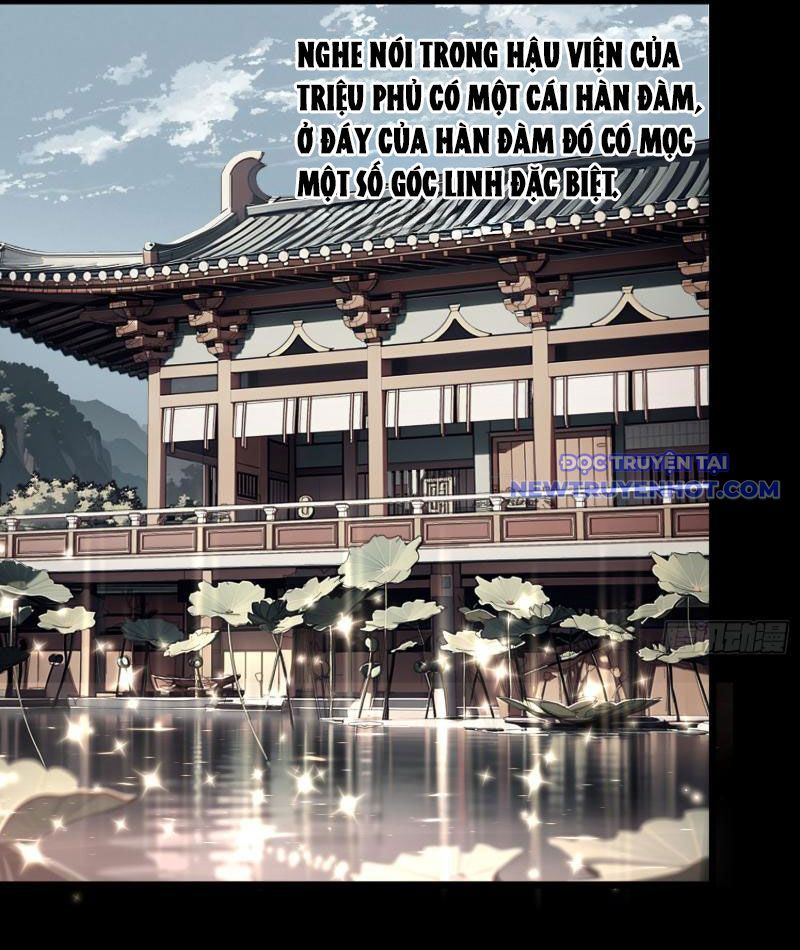 Thành Thần Bắt Đầu Từ Thủy Hầu Tử Chapter 4 - Trang 2