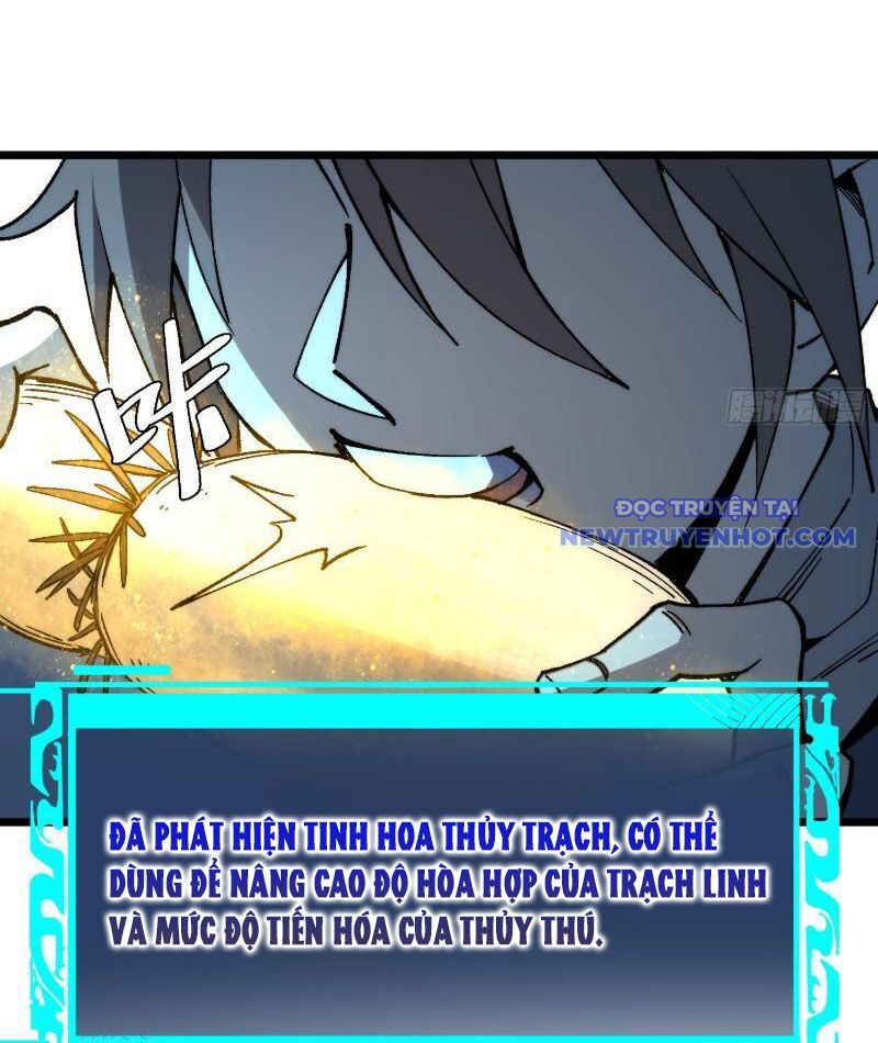 Thành Thần Bắt Đầu Từ Thủy Hầu Tử Chapter 4 - Trang 2