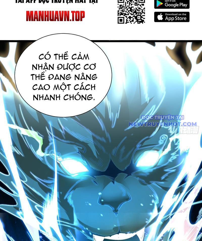 Thành Thần Bắt Đầu Từ Thủy Hầu Tử Chapter 4 - Trang 2